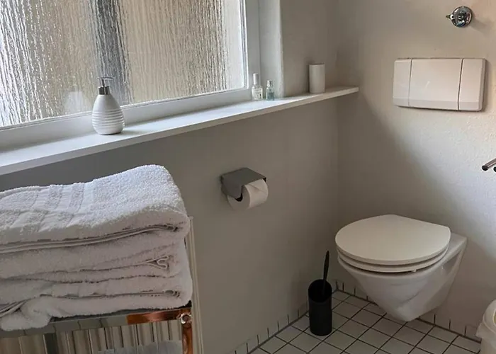 公寓 Seeglueck Haeusle - Charmantes Mit Innenhof In Zentraler Altstadtlage Von 康斯坦茨