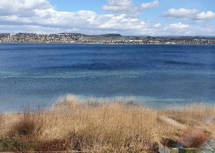 公寓 Seeglueck Haeusle - Charmantes Mit Innenhof In Zentraler Altstadtlage Von 康斯坦茨